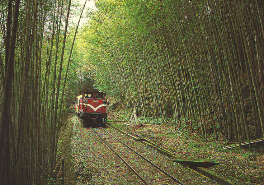 Alishan Train (Chiayi) (Taiwan)
