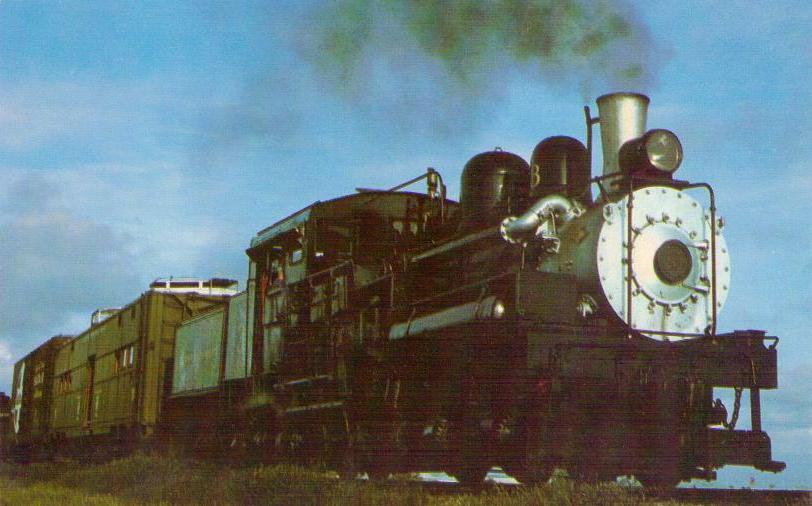Feather River Railway, Shay Number 3