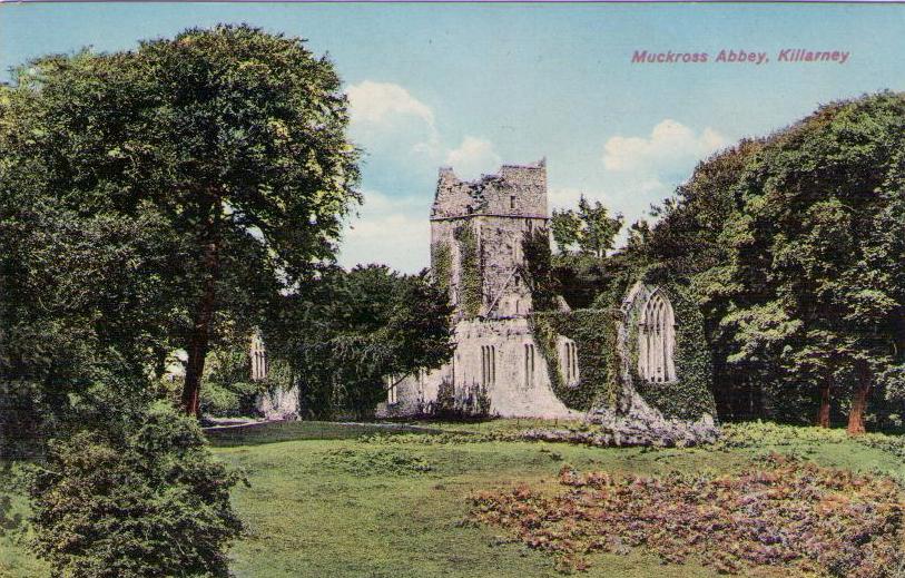 Muckross Abbey, Killarney (Ireland)