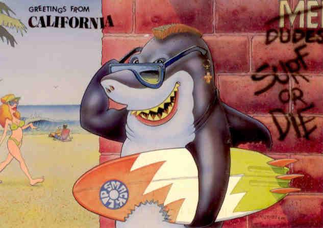 Punk Shark, Greetings from California