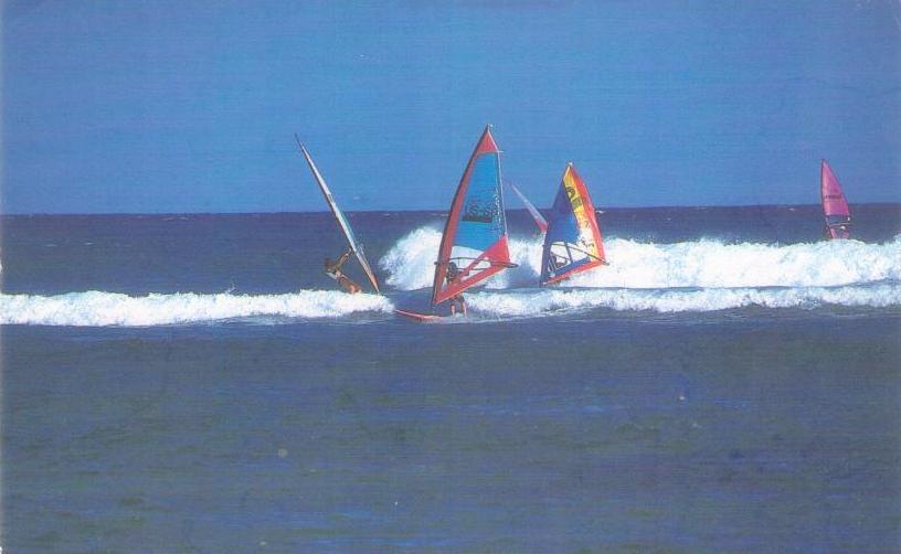Windsurfing in Hawaii