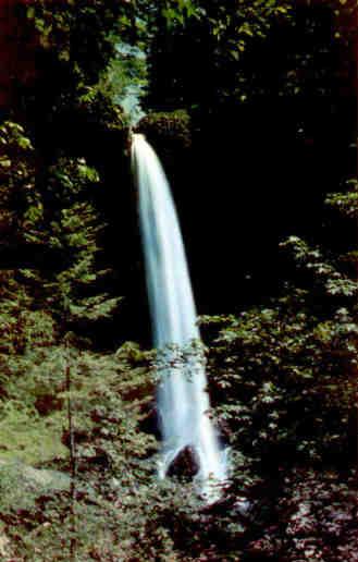 Silver Falls, Silverton (Oregon, USA)