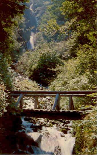 Wahkeenah Falls, Columbia River Gorge (Oregon)