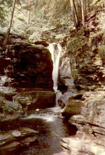 Adams Falls, Ricketts Glen State Park (Pennsylvania)