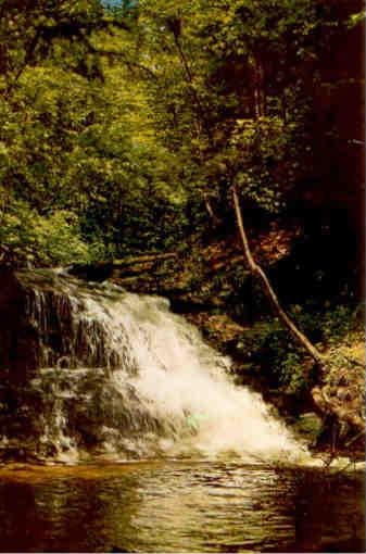 Turkey Path Falls, Leonard Harrison State Park (Pennsylvania)