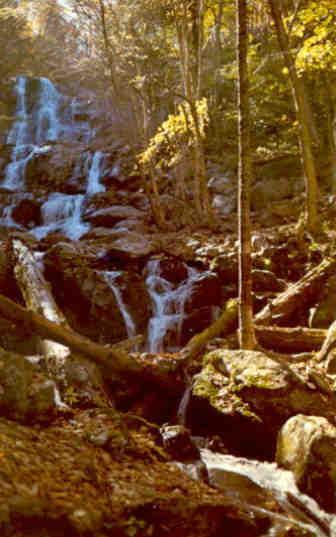 Dark Hollow Falls, Shenandoah National Park (Virginia)