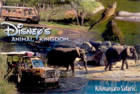 Disney’s Animal Kingdom, Kilimanjaro Safaris (Florida)