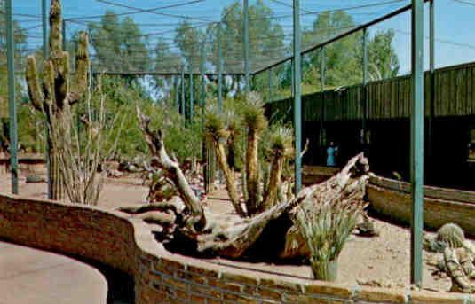 Phoenix Zoo, Arizona Exhibit (USA)