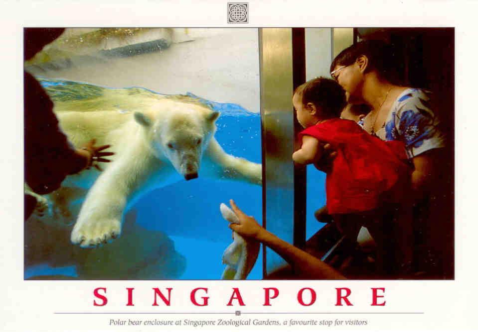 Polar bear enclosure at Singapore Zoological Gardens