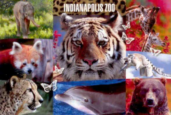 Indianapolis Zoo (Indiana, USA)