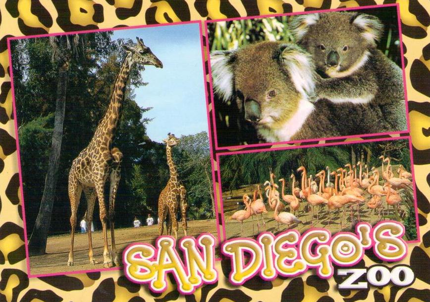 San Diego’s Zoo (California)