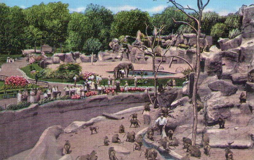 Detroit Zoo, Monkey Island (Michigan, USA)
