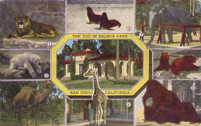 San Diego, The Zoo in Balboa Park (California)