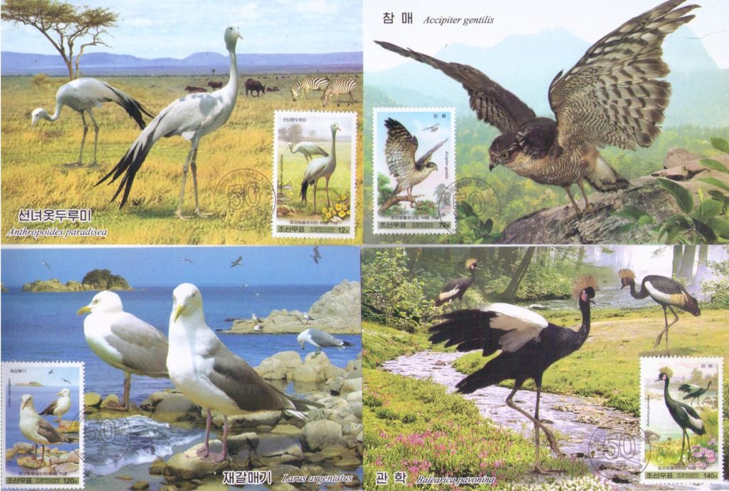 Birds (set of four, front captions) (Maximum Cards) (DPR Korea)
