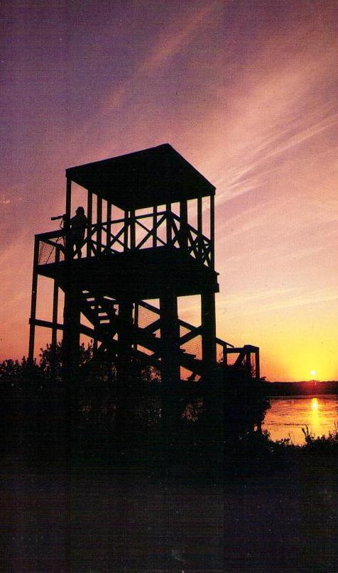 J.N. “Ding” Darling National Wildlife Refuge, Tower at Sunset, Sanibel (Florida)