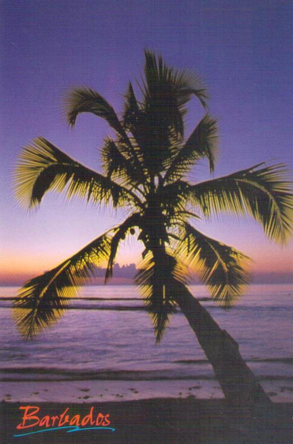 Another Beautiful Sunset (Barbados)