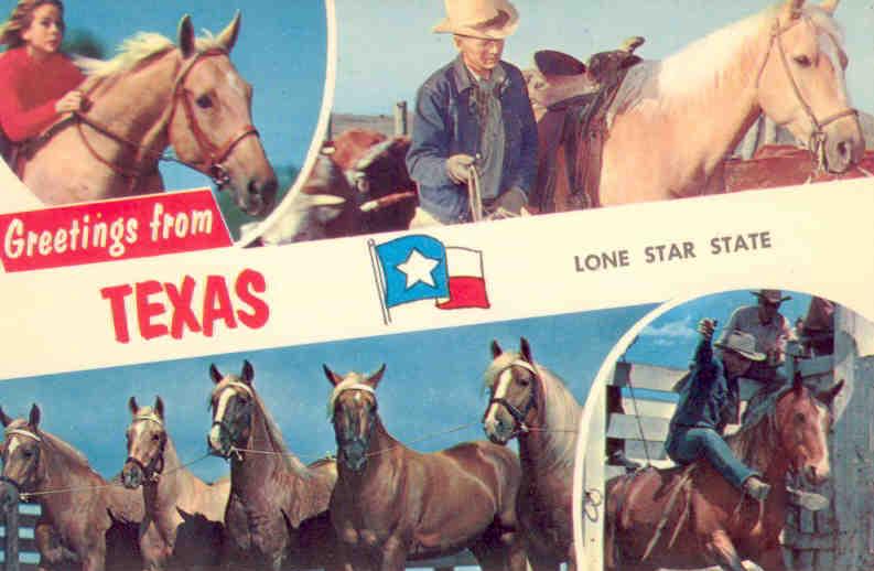 Greetings from Texas – Lone Star State