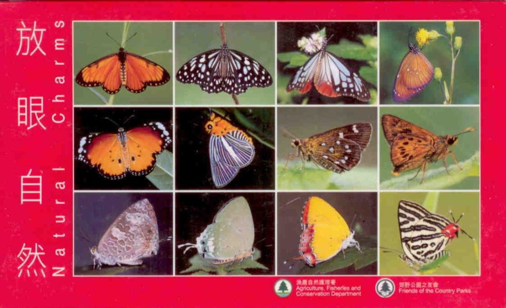 Natural Charms – Butterflies (set) (Hong Kong)