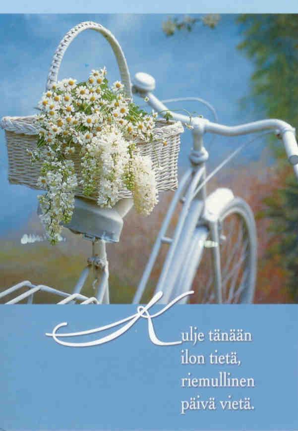 Bicycle and flowers (Finland)