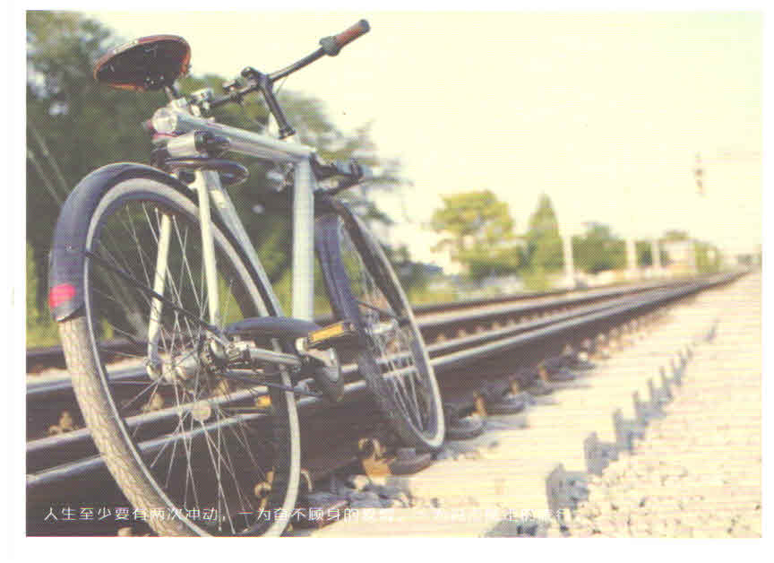 Bicycle and railroad track
