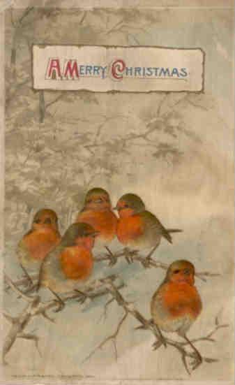 A Merry Christmas – robins