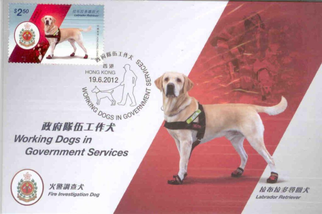 Working Dogs in Government Services (Maximum Cards) (set) (Hong Kong)