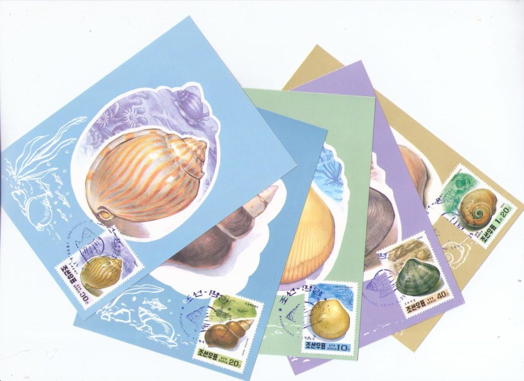 Shells (set of five) (Maximum Cards) (DPR Korea)