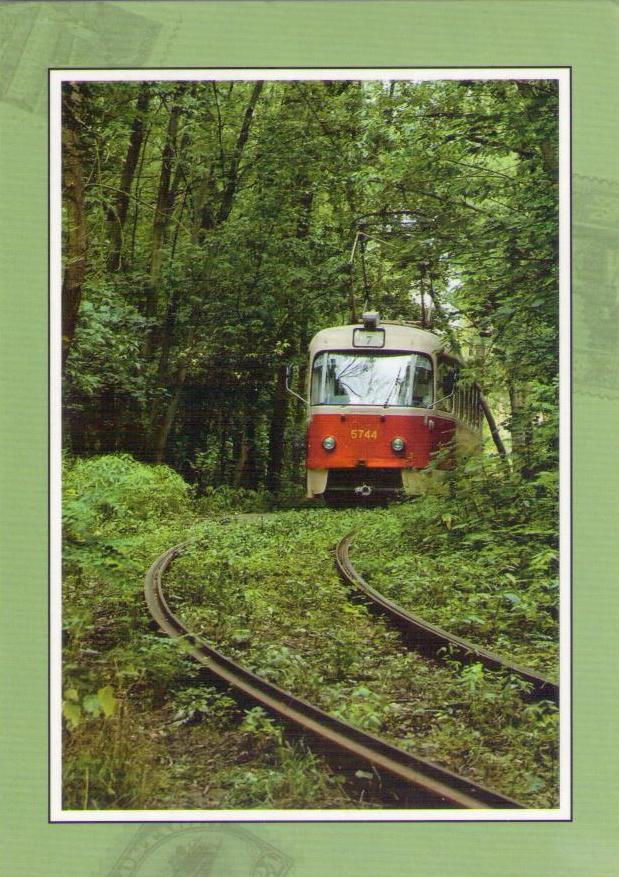Forest tram