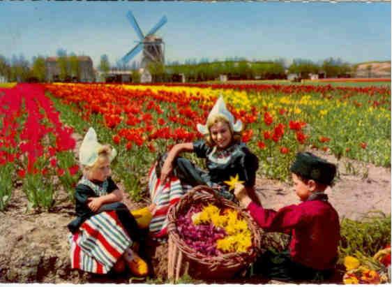 Windmill, tulips, wooden shoes … (Netherlands)