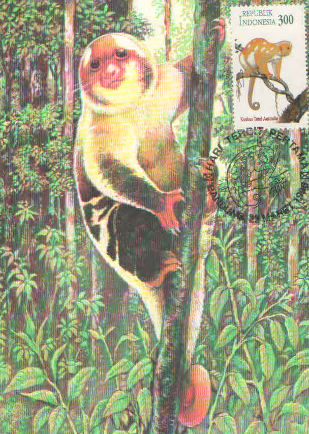 Indonesia-Australia Joint Stamp Issue, Australian Spotted Cuscus