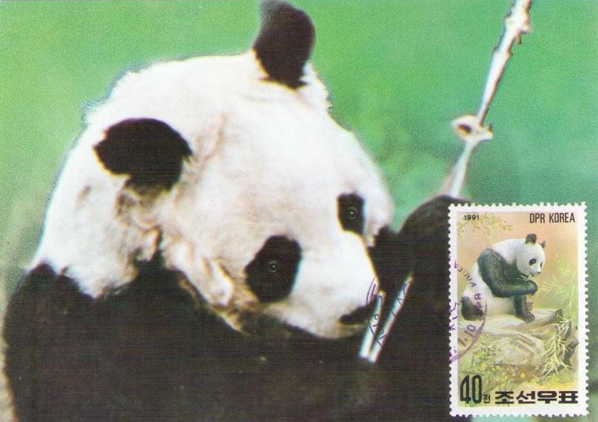 Panda (40) (DPR Korea)