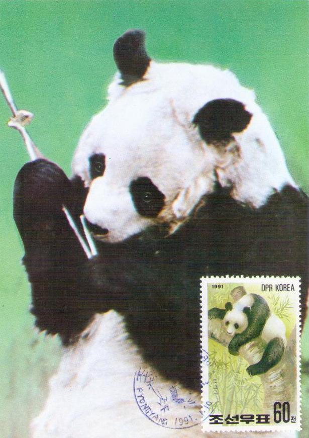 Panda (60) (DPR Korea)