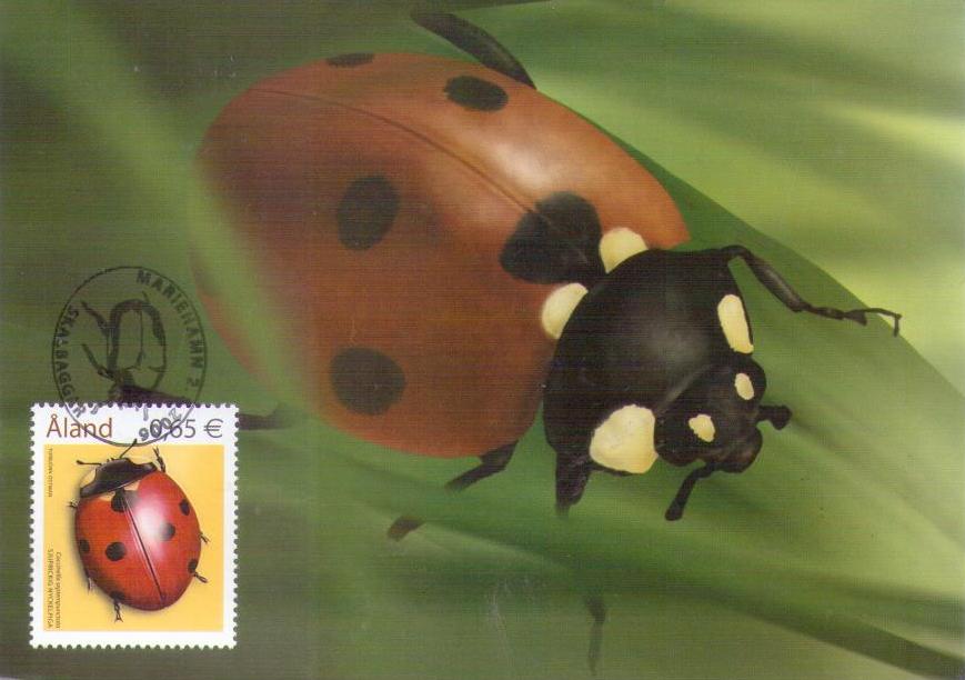 Aland, seven-spot ladybird (Maximum Card no. 54) (Finland)
