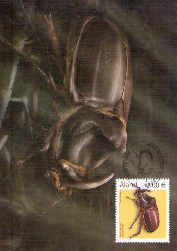 Aland, rhinoceros beetle (Maximum Card no. 55) (Finland)