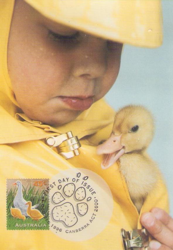 Pets: duck (Australia)