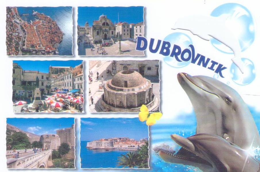 Dubrovnik and dolphins (Croatia)