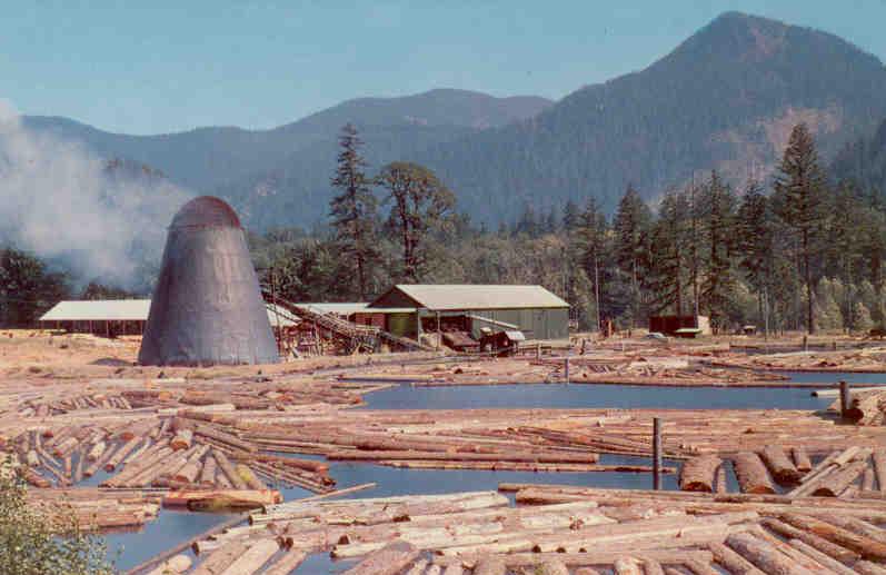 A Northwest Sawmill and Log Pond