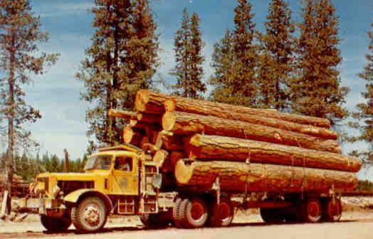 Logging in Washington and Oregon (USA)