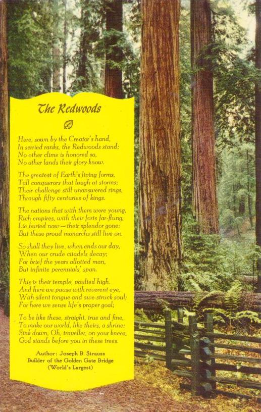 The Redwoods (J.B. Strauss) – 128 (California)