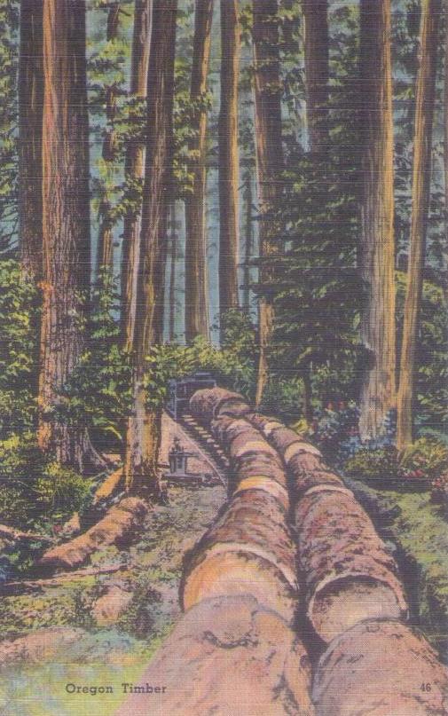 Oregon Timber (USA)