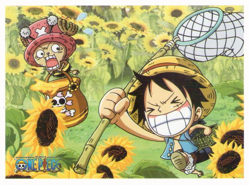 One Piece – butterfly net and sunflowers