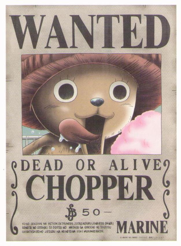 One Piece – Wanted, Chopper