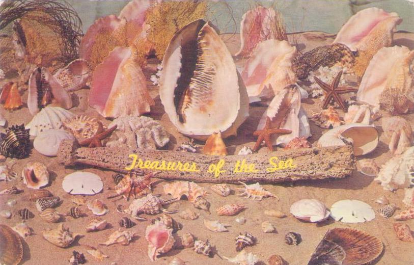 Treasures of the Sea (USA)