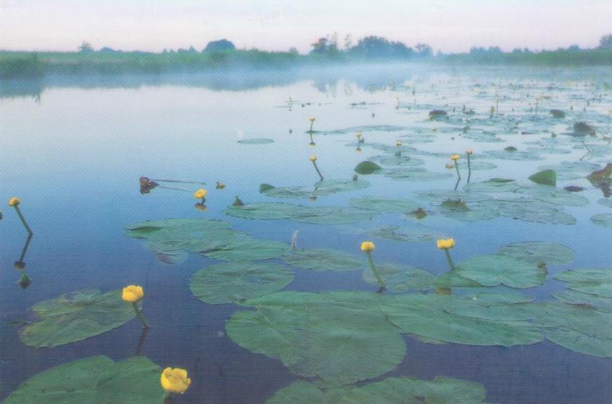 Groeten uit Nederland, Nature