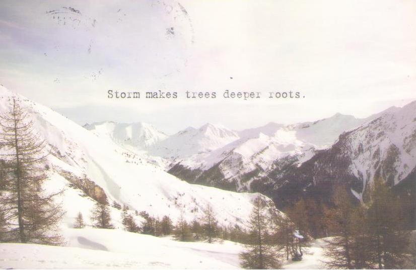 Storm makes trees deeper roots