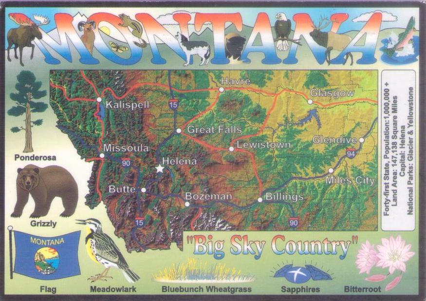 Montana, Ponderosa Pine and Bluebunch Wheatgrass (USA)