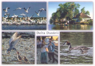 The Danube Delta