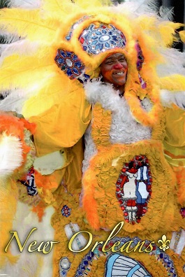 New Orleans, Mardi Gras costume