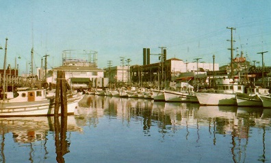 San Francisco, Fisherman’s Wharf ML-8