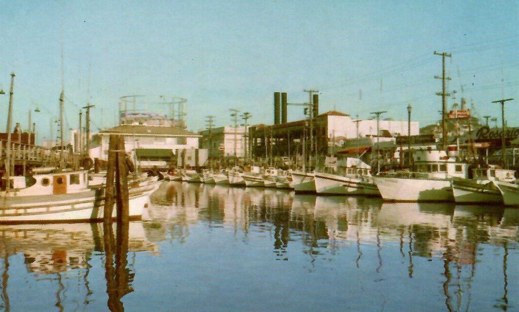 San Francisco, Fisherman’s Wharf ML-8 (California)